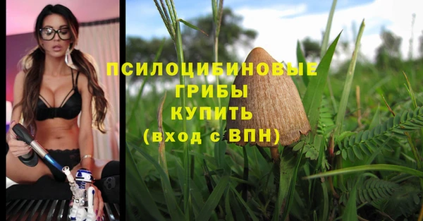 эйфоретик Алзамай
