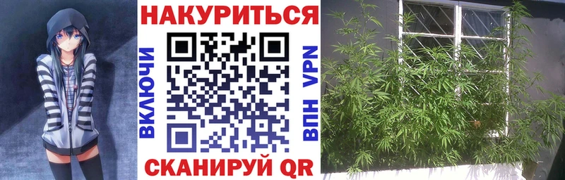 KRAKEN сайт  Шелехов  Бошки марихуана THC 21% 